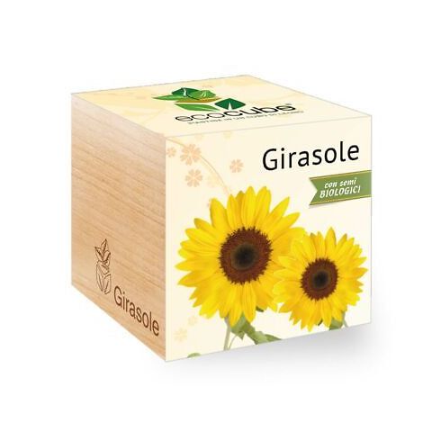 EcoCube • Girasole