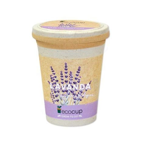 Ecocup Lavanda